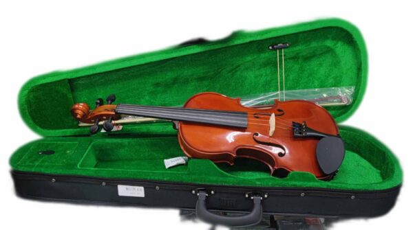 VIOLINO DA STUDIO 4/4 DAM TOP SOLID PARTI ROSEWOOD MV012R44